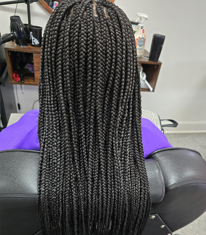 hairstyles-pg-categ1-single-braids